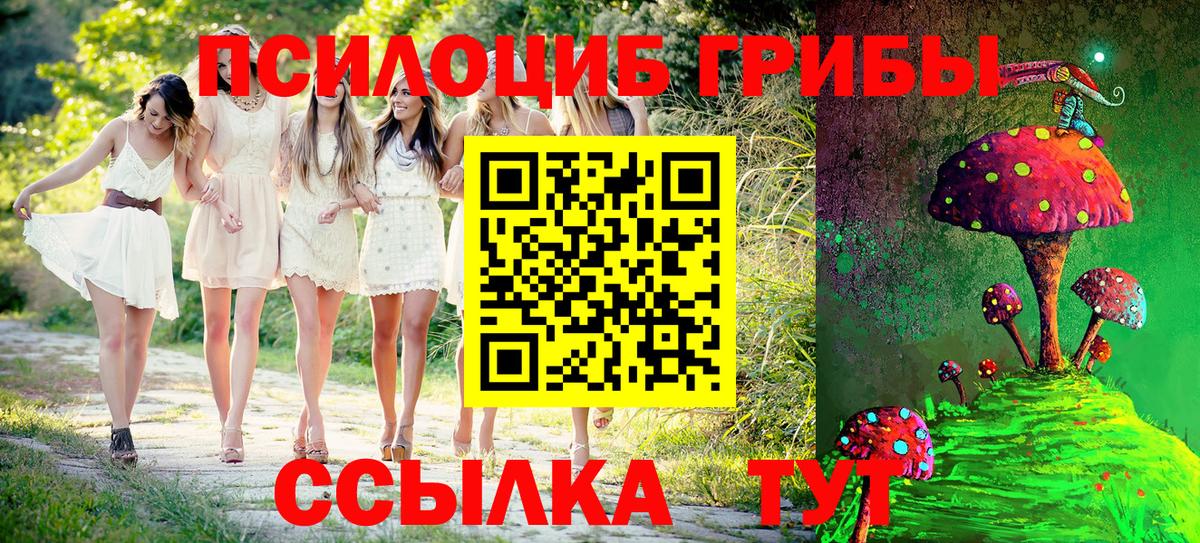 Усть-Илимск  Галлюциногенные грибы Psilocybine cubensis  Псилоцибиновые грибы Psilocybine cubensis  Вход с VPN 